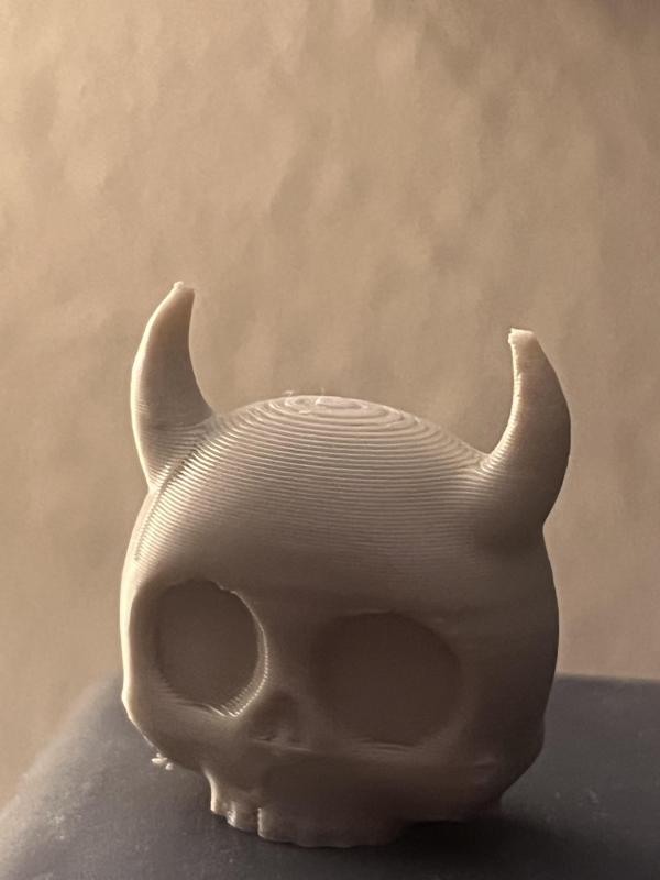 Skull with Horns