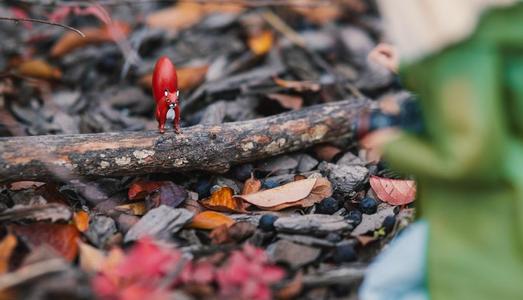 Squirrel without stand 1/6 scale