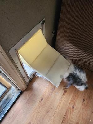 3 flap dog door