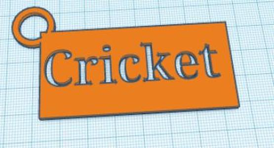 Cricket keyring