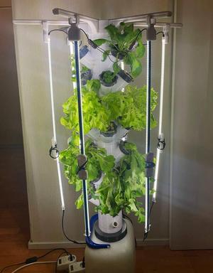 Hydroponic Tower Garden - Adapters for barrel and light