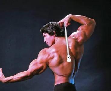 Back Scratcher