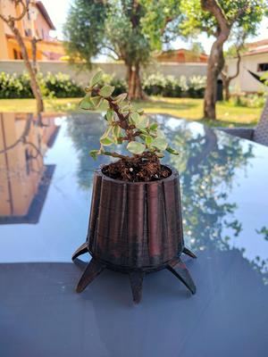 Tree Pot