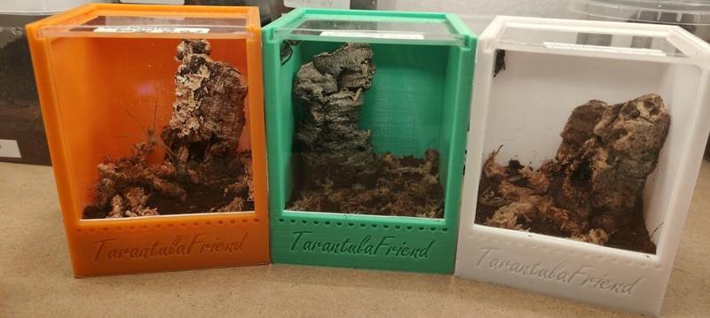 Small Spiderenclosure/Spiderterrarium