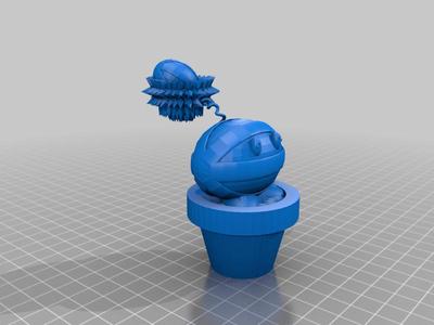 Winter Melon in a pot