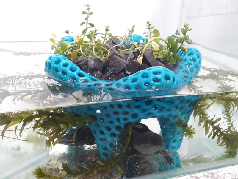 Aquarium planter