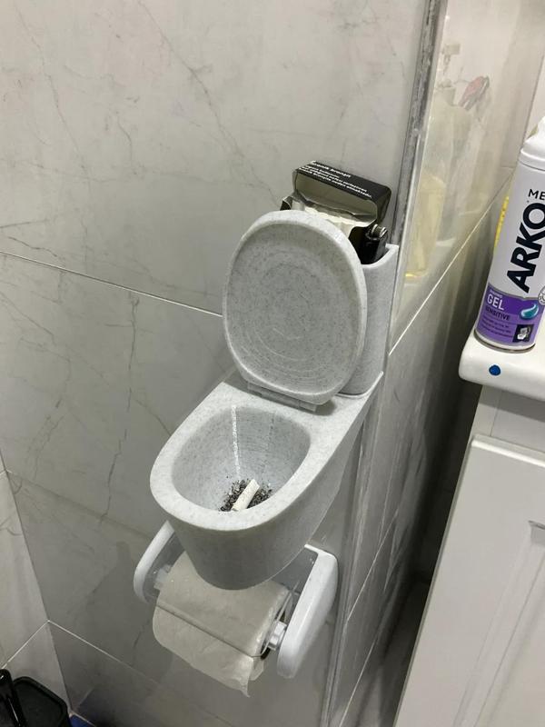 The Toilet Ashpit