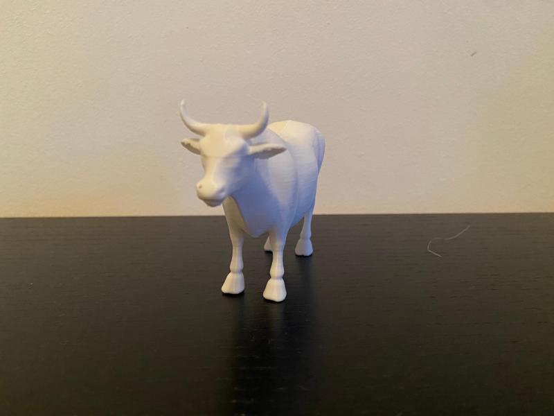 Cow model