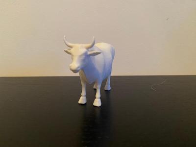 Cow model