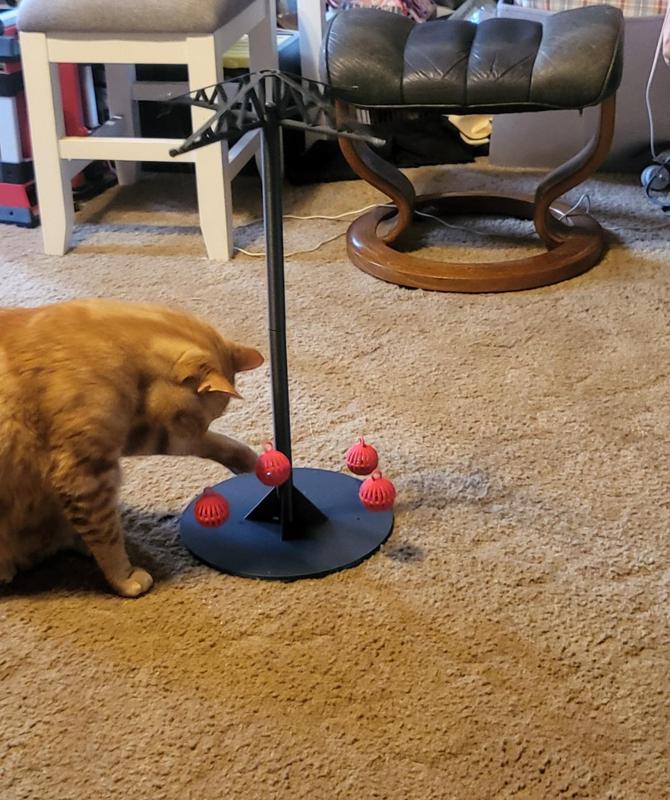 Awesome Swinging Cat Toy