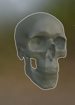 skullscan.stl