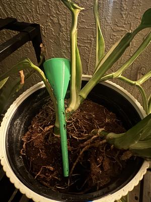 Self Watering Flower Pot Filer