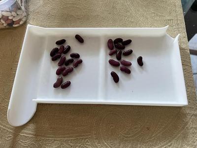 Seed Sorter and Bagger