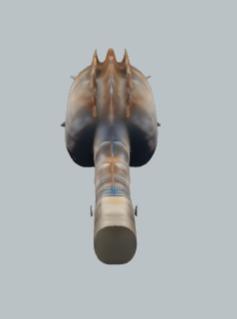 Crystalized Skull Fossil