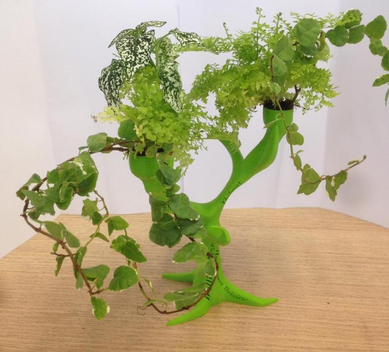 A Tree that needs Leaves to Live