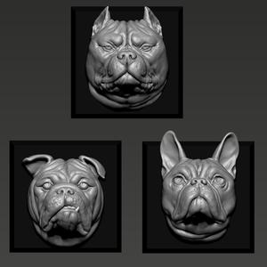 American Bully English bulldog French Bulldog