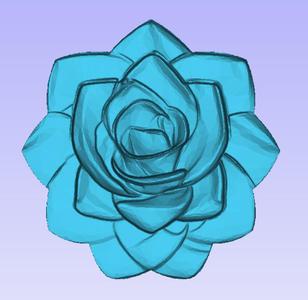 Rose