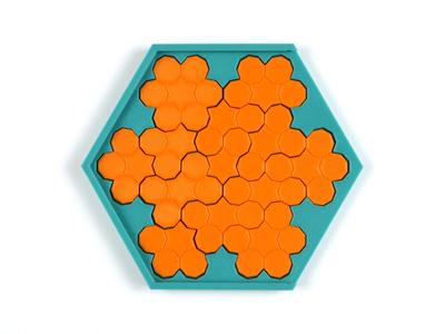 Nonagon Puzzle