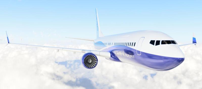 Boeing 737 - 800