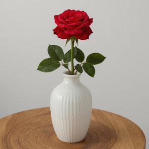Flower Rose