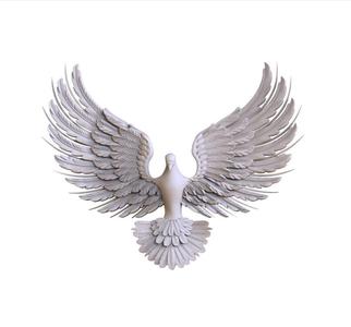 Flight of bird
