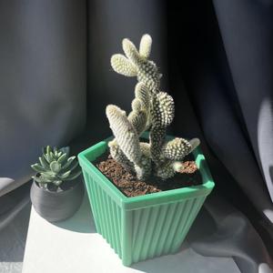 SIMPLE VASE