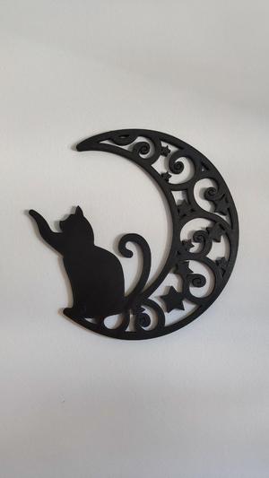Gato en la luna