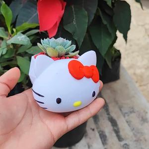 Hello Kitty Flowerpot