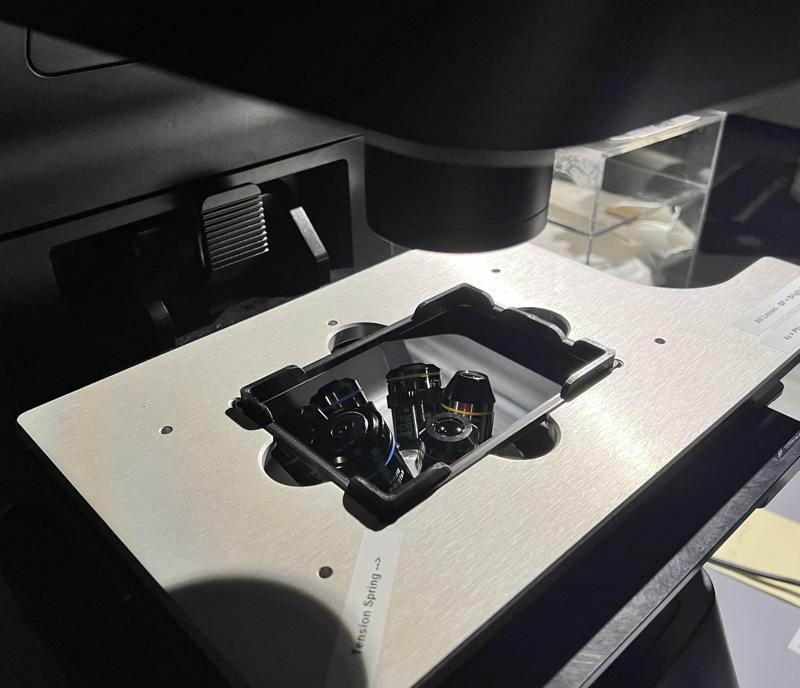 24 well plate cell stage insert for ECHO Revolve scope