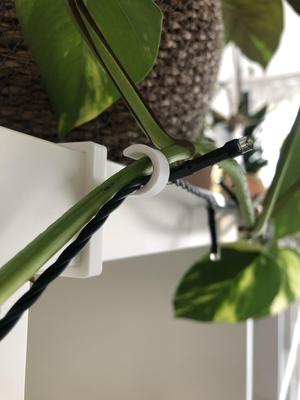 Plant hook