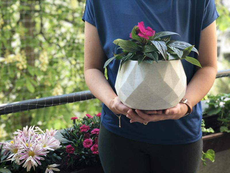 CURVY CRYSTAL LOWPOLY POTS (2 sizes)