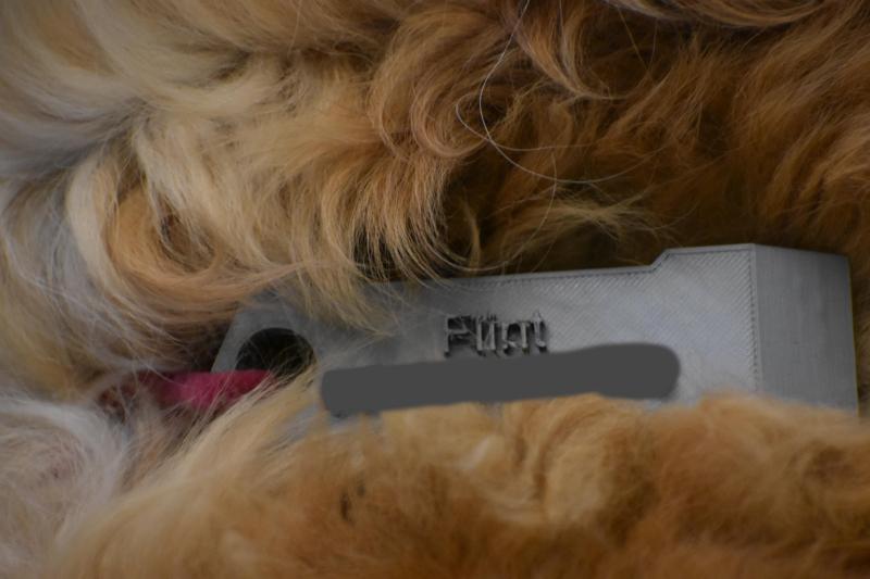 Print Bed Scraper Dog ID Tag