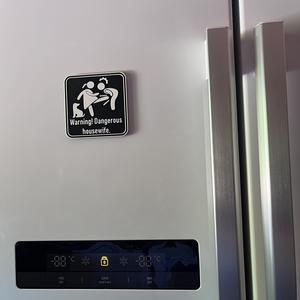 Dangerous Wife Fridge Magnet