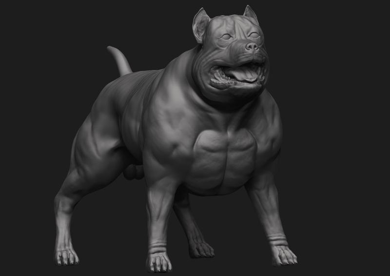 American Bully bust Dog 3D print model