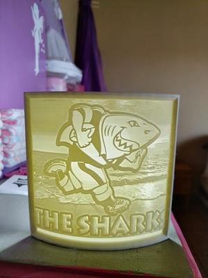 Sharks
