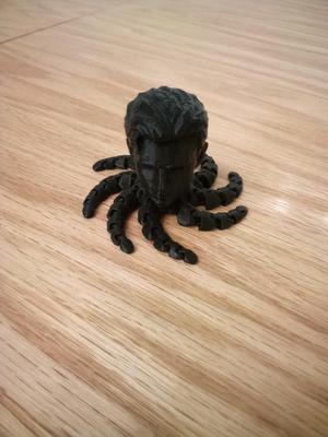 spidey-pus