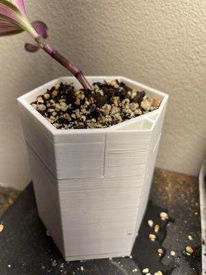 Self-watering pot