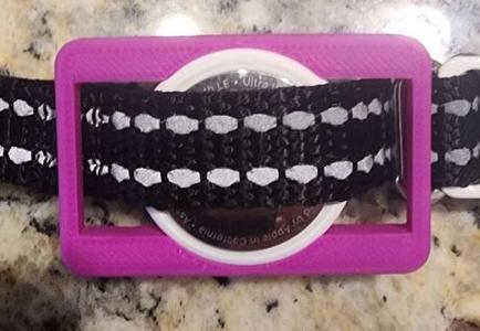Easy Snap Airtag Dog Collar / Shoe