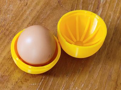 Egg transport egg