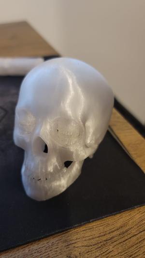 The Corinthian Skull