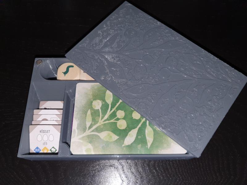 Magnetic wingspan box for accessories