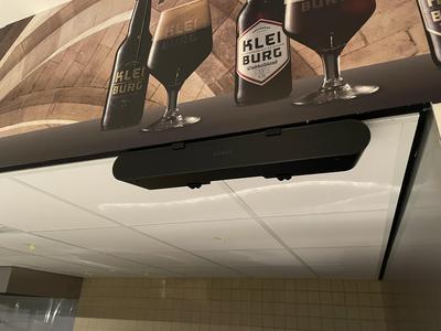Sonos Ray Ceiling Mount