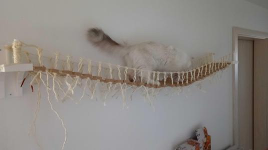 PLA cat bridge