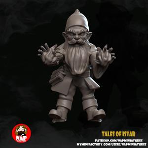 Gnome Wizard