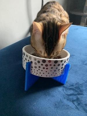 Tilted Cat Bowl Stand