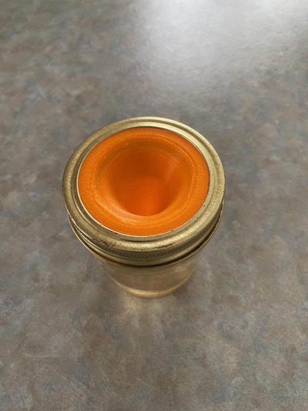 Fruit Fly Trap