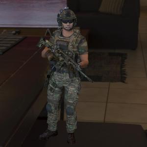 Soldier Ops 49: Elite Forces
