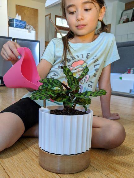 Parametric Self Watering Planter w/ Water Level Indicator