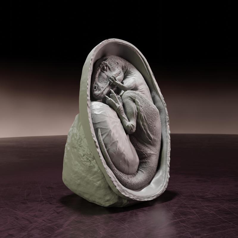 Charcharadontosaurus embryo - pre-supported dino egg
