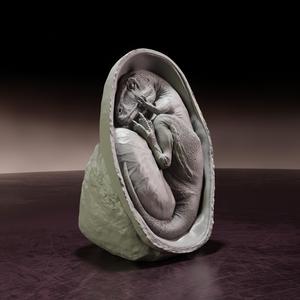Charcharadontosaurus embryo - pre-supported dino egg